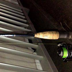 西宮跳ね橋　高速バチ　セイゴ